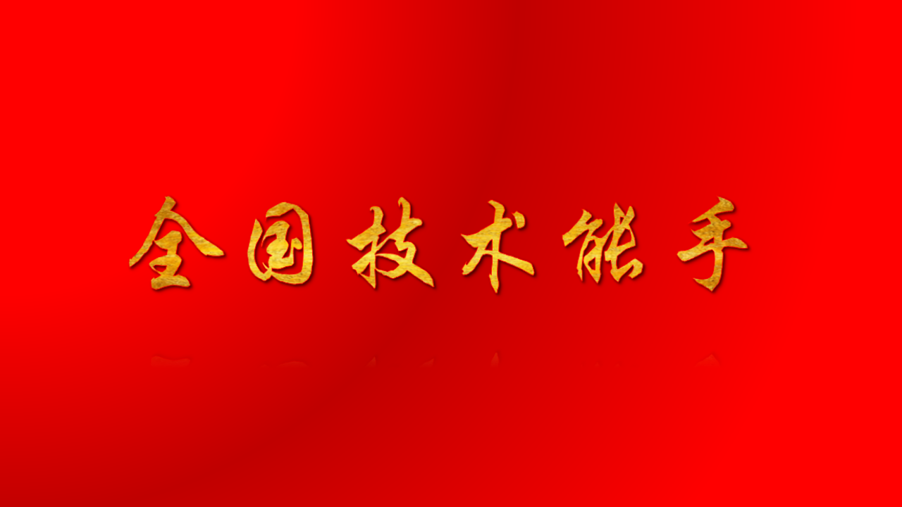 全国技术能手