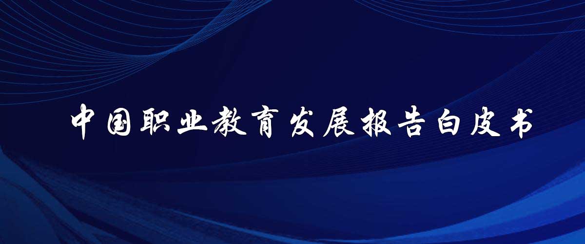 中国职业教育发展报告白皮书