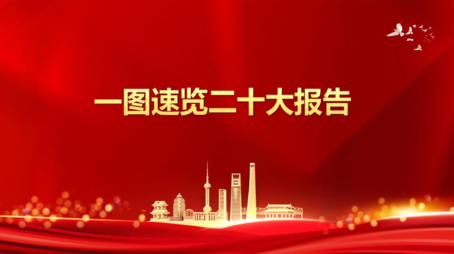 一图速览二十大报告
