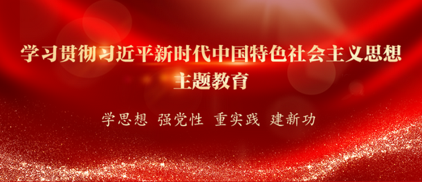 学习贯彻习近平新时代中国特色社会主义思想主题教育